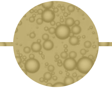 Multiphase Fluid Dynamics Group